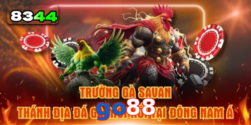 Mơ thấy cá chép – vận may trong học vấn và sự nghiệp